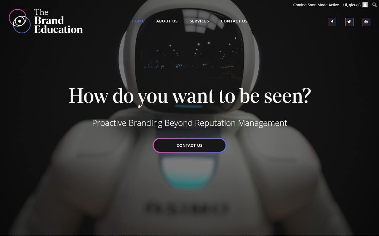 screenshot www.thebrandeducation.com 2019.04.04 19 34 51